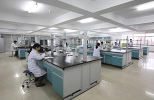 武漢維斯?fàn)柭?以綜合資源優(yōu)勢(shì)引領(lǐng)生物工程技術(shù)服務(wù)新篇章